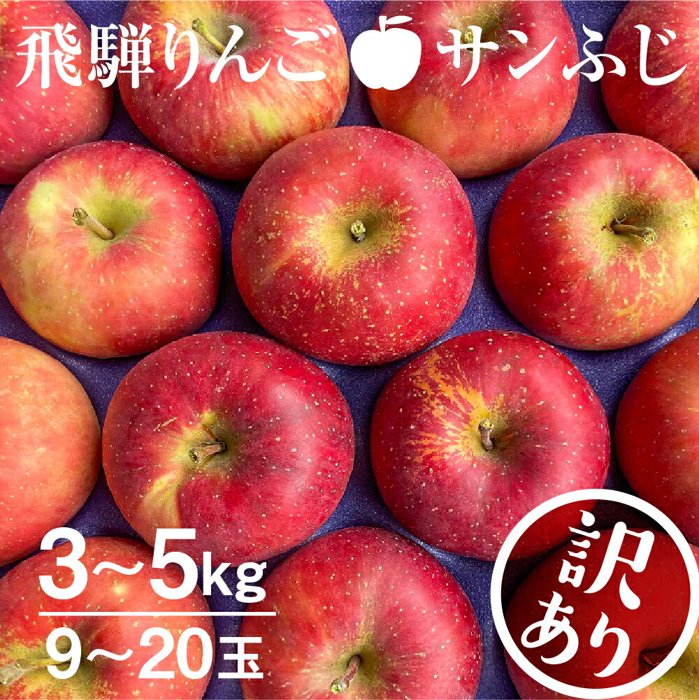【ふるさと納税】《2025年先行予約》りんご【2025年11月下旬～1月上旬発送】りんご サンふじ 3kg 約5kg 15～20玉 飛騨りんご 林檎 黒内果樹園 果物 国産 飛騨産 ご家庭用 家庭用 無袋栽培 訳あり 訳アリ わけあり ワケアリ 不揃い 家庭用 [Q843]10000円 1万円