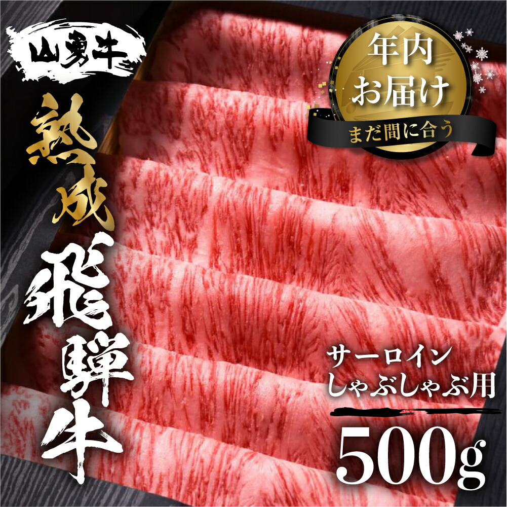 送料無料 冷凍食品 飛騨牛 笹 おこわ 6個入(1個 50g)