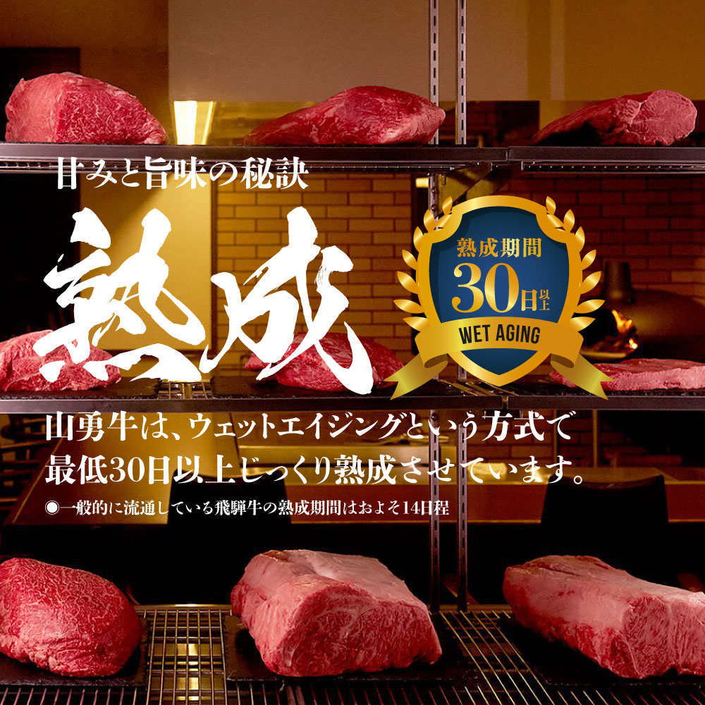 市場 ふるさと納税 山勇牛 1kg 切落し 焼肉 飛騨の牧場で育った熟成飛騨牛 切り落とし 訳あり