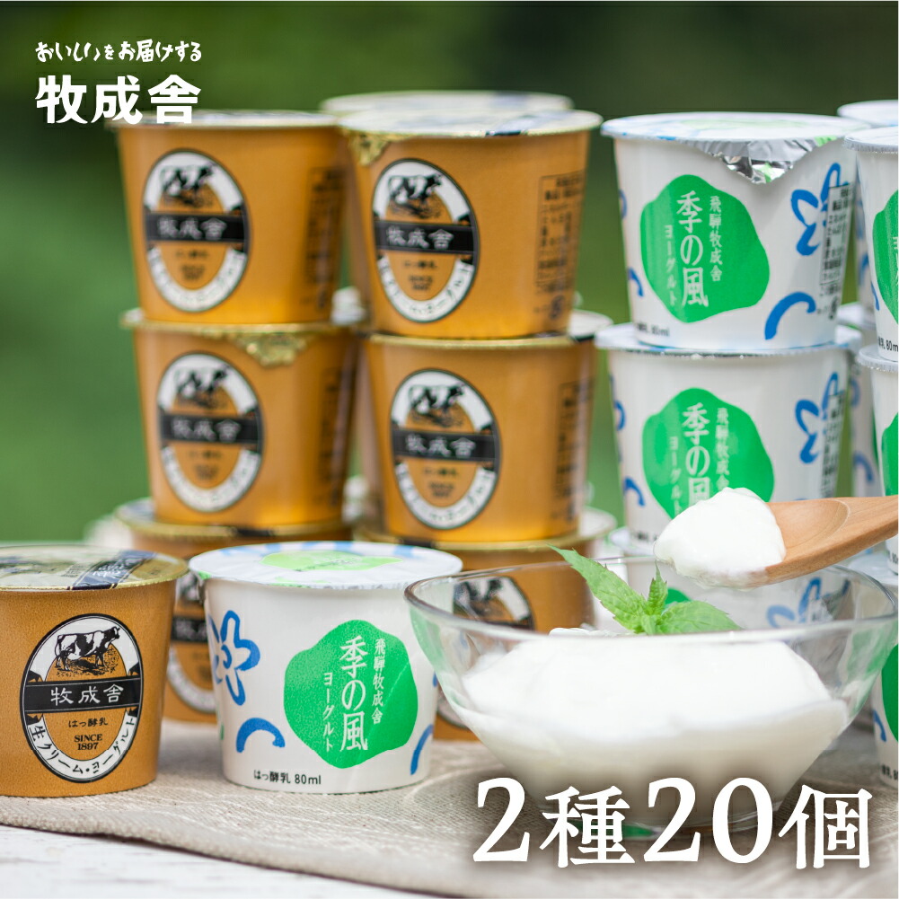 【ふるさと納税】《1週間程度で発送》選べる内容量 飛騨の牛乳屋こだわり カップヨーグルトヨーグルト ２種類 食べ比べ 盛沢山 20個 セット カップヨーグルト 乳製品  ギフト まとめ買い 牧成舎 [A0093] 《hida0307》飛騨市 10000円 1万円