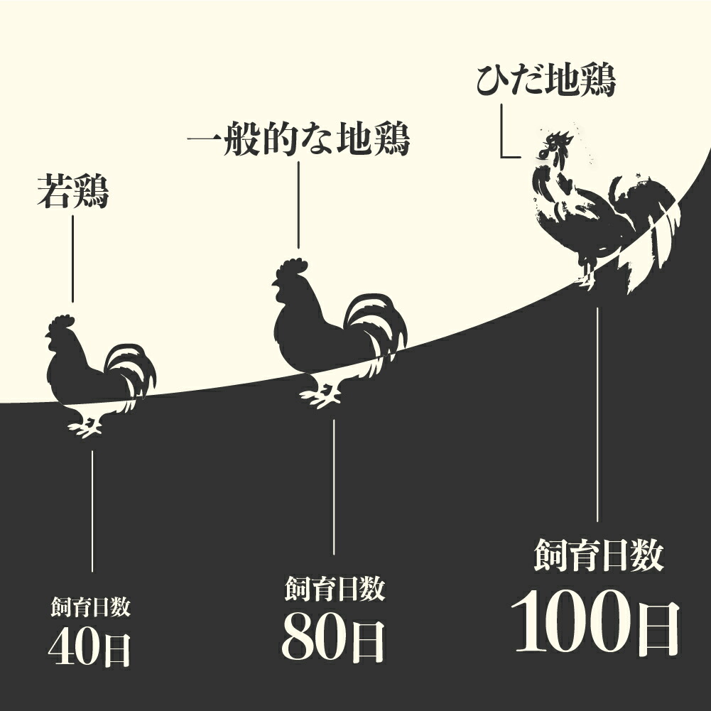 楽天最安値に挑戦 地鶏 鶏肉 飛騨地鶏 手羽先 手羽元 各1 5kg 計3kg 国産 国産地鶏 骨付き からあげ用 生 唐揚げ 手羽 お肉 Q1280 円 1万円 Fucoa Cl