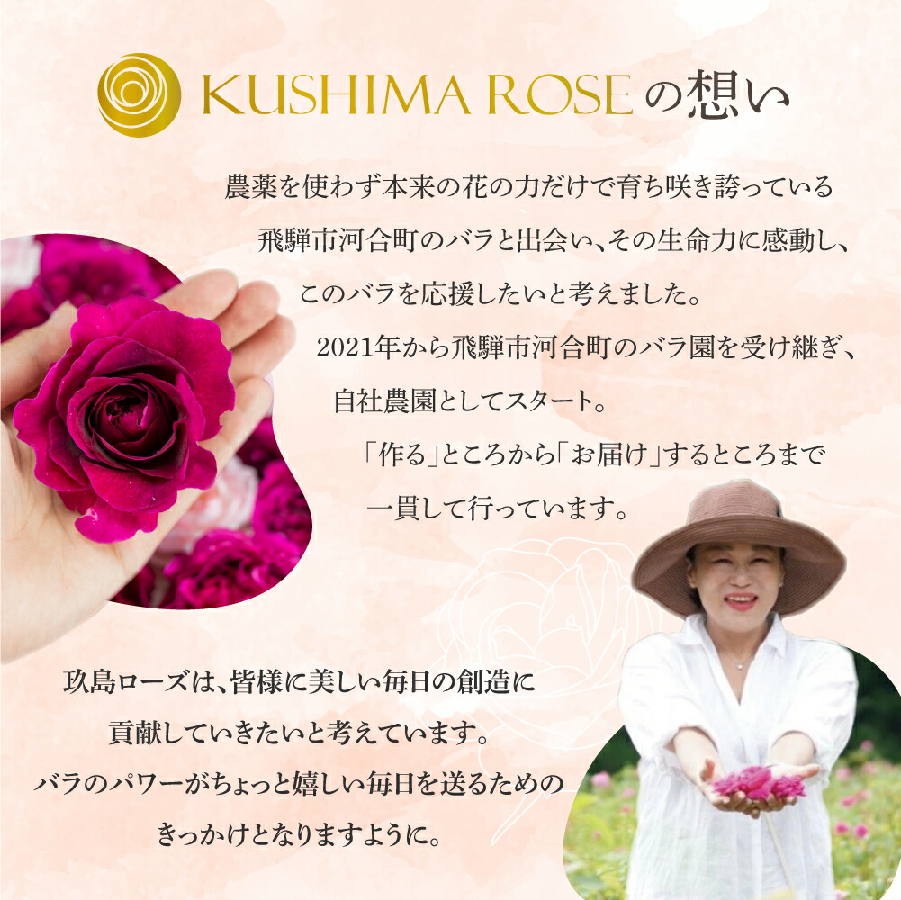 国内即発送 お風呂用バラ0g バラ風呂セット 入浴 芳香 誕生日 記念日 お祝い 結婚祝い 結婚記念日 フラワーシャワー Q1384 円 3万円 Fucoa Cl