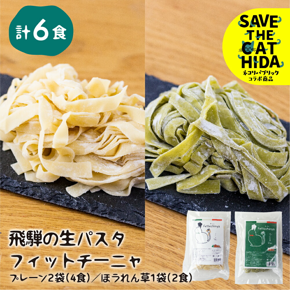 楽天市場】【ふるさと納税】飛騨の生パスタ フィットチーネセット プレーン ほうれん草 2種類 パスタ 生麺 みやぎ製麺所 飛騨産ほうれん草[Q381]10000円  1万円 : 岐阜県飛騨市