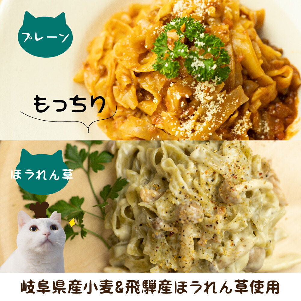 【ふるさと納税】飛騨の生パスタフィットチーニャ6袋飛騨牛牛肉国産黒毛和牛生パスタスパゲティフィットチーネ生麺時短本格(SAVETHECATHIDA支援)10000円1万円