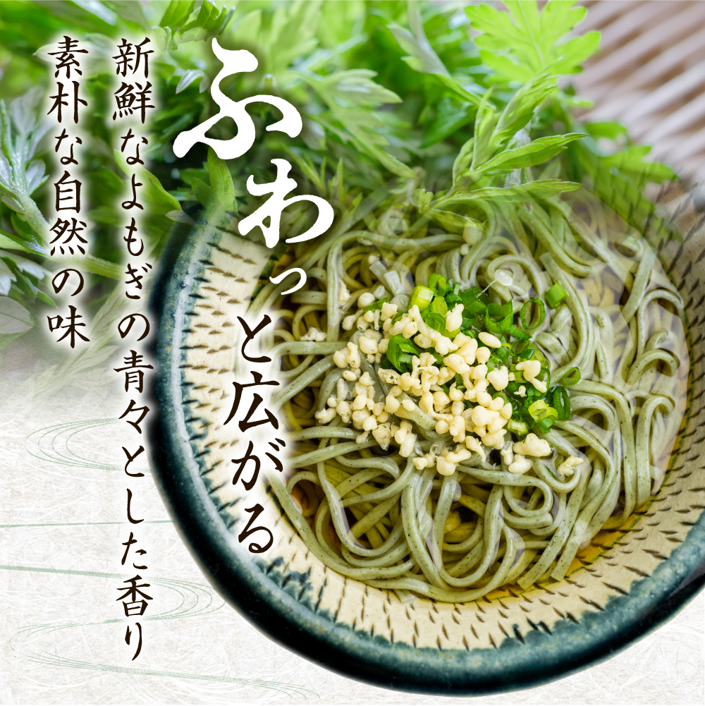 通販でクリスマス 堀之上のよもぎうどん 10袋 乾麺 行列店 ほりのうえ うどん ヨモギ 個包装 保存料不使用 贈り物 ギフト お取り寄せグルメ  お取り寄せ 御中元 お中元 Q1319 10000円 1万円 fucoa.cl