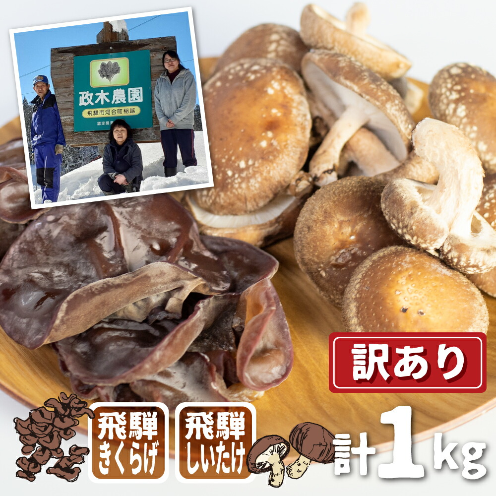【ふるさと納税】《先行予約》2026年11月より発送 ～ 肉厚 菌床しいたけ・生きくらげセット 計1kg / 食べ比べ 政木農園 肉厚 椎茸 野菜 きのこ シイタケ キクラゲ 国産 簡易包装 訳アリ 家庭用 大容量 飛騨市 [Q948x] 10000円 1万円｜岐阜県飛騨市