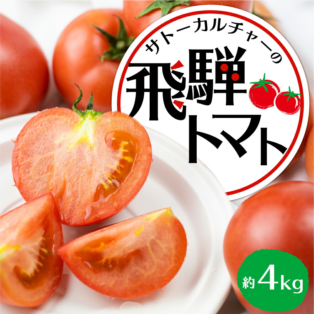 【ふるさと納税】《令和7年産先行予約》飛騨トマト 約4kg（20－28玉）産地直送 野菜 とまと トマト 麗月 夏野菜 やさい サトーカルチャー  [Q1729_24] 12000円