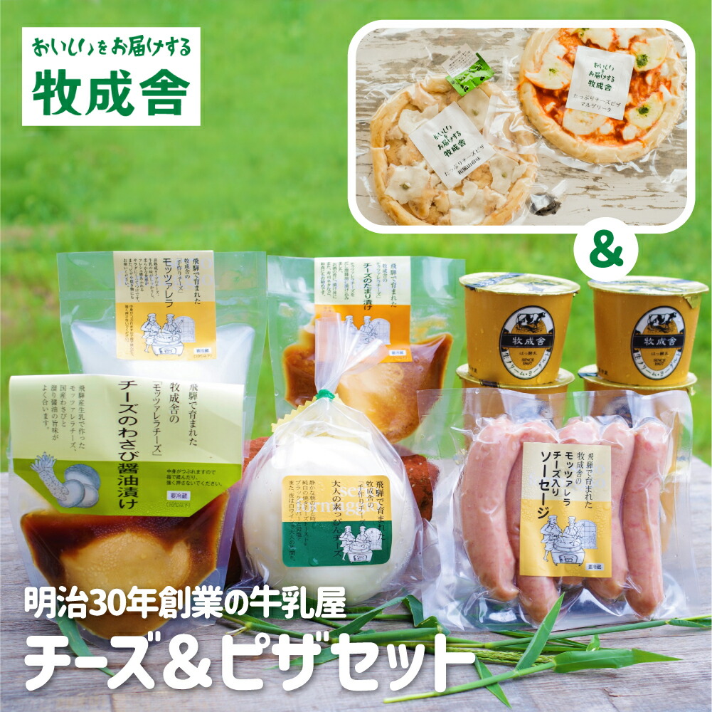 【ふるさと納税】＜牧成舎＞飛騨のナチュラルチーズ＆チーズたっぷりピザ＆ヨーグルトセット[Q1643]