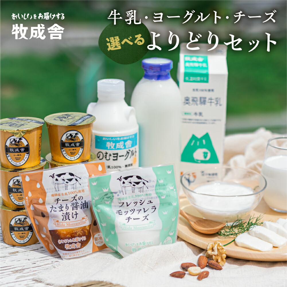 【ふるさと納税】乳製品セット モッツァレラチーズ ヨーグルト 牛乳 ミルクプリン プリン アイスクリーム アイス ピザ マルゲリータ  ソーセージ 食べ比べ 訳あり 選べる  よりどりセット ヨーグルト   牧成舎 日時指定可能 1万円 10000円 8000円 [B0096] 飛騨市