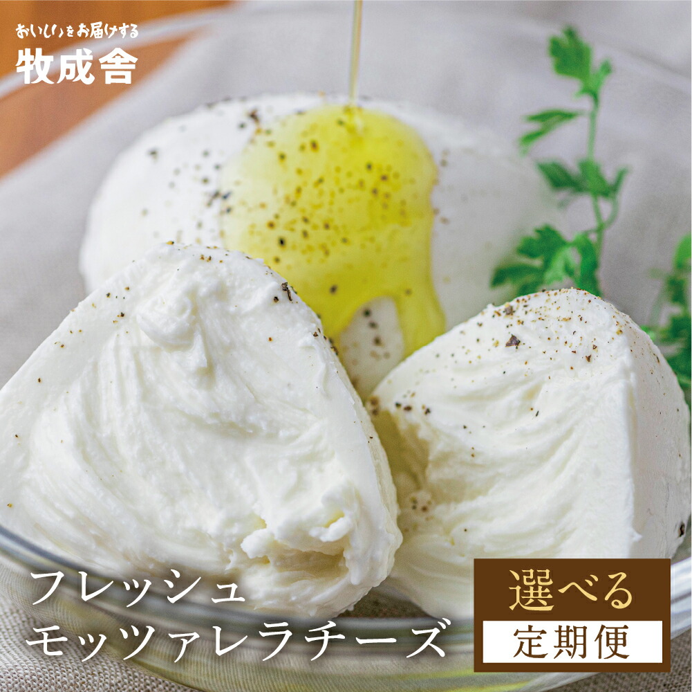 【ふるさと納税】チーズ 定期便 選べる 回数  乳製品＜牧成舎＞チーズ フレッシュ モッツァレラチーズ 冷蔵 小分け 個包装 カプレーゼ パスタ ピザ おつまみ 前菜 サラダ 低温殺菌 新鮮  定期便 12回 12か月 [Q1939] 《hida0307》