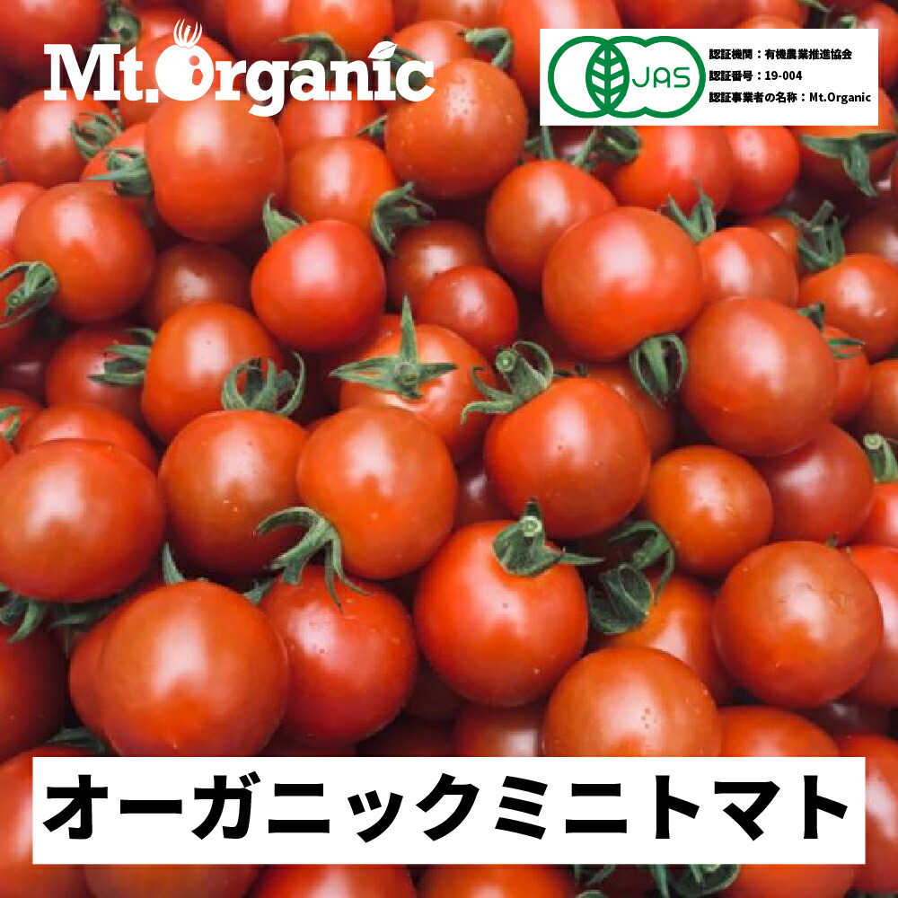 【ふるさと納税】《令和7年産先行予約》 オーガニック ミニトマト 約1.2kg 約4kg 選べる 農家直送 有機JAS認証 有機 プチトマト  2025年発送《hida0307》