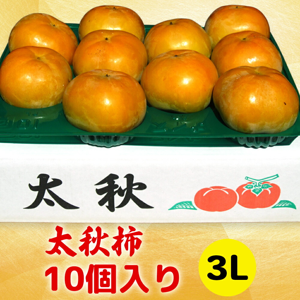【ふるさと納税】[先行予約]  令和7年産 高橋柿ファームの太秋柿 3Lサイズ 10個入り《10月上旬より発送予定》[0999]｜かき 太秋 フルーツ カキ 果物 くだもの 産地直送  岐阜県 本巣市 15000円