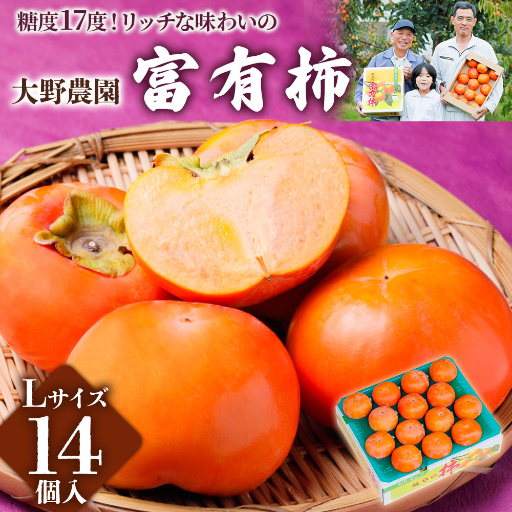 【ふるさと納税】令和7年産【先行予約】[柿の王様] 大野農園の 富有柿 Lサイズ ( 14個 入) 2025年11月中旬～12月中旬発送予定  [0604] [mt097]｜かき 富有柿 ふゆうがき フルーツ 岐阜県 本巣市 くだもの 果物 甘い 糖度 高い 15000円