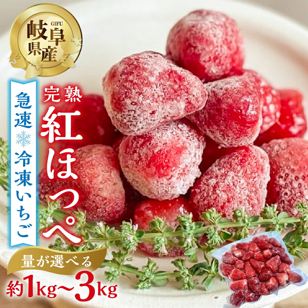 【ふるさと納税】【2025年夏発送～】急速 冷凍いちご  紅ほっぺ 選べる 1kg ~ 3kg  (500g × 2p 3p 6p) 簡易梱包 サイズ 不揃い 訳あり 訳アリ フルーツ 果物 苺 いちご イチゴ アイス ヨーグルト family農園 子ども 小分け 家庭 国産 産地直送 8000円 1万 [mt1505] 10000円