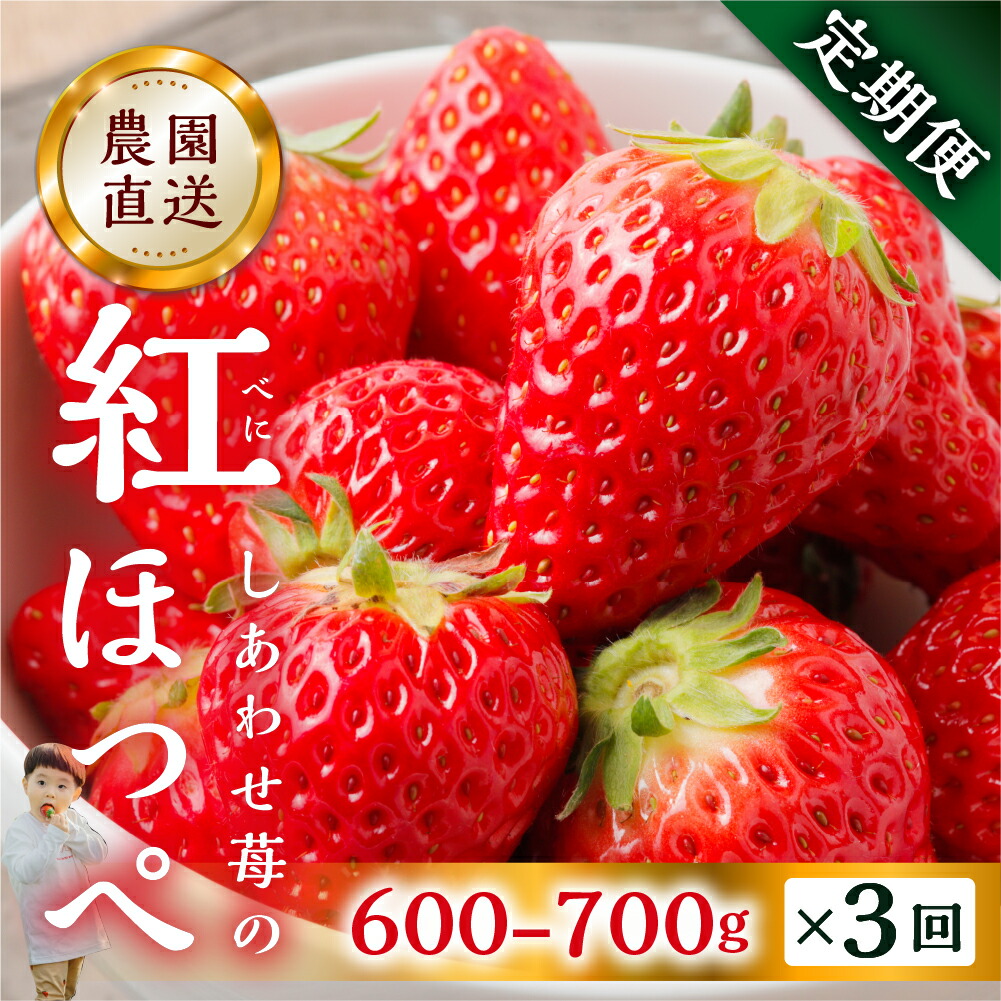【ふるさと納税】【定期便3回 5回 選べる】自宅用 いちご 紅ほっぺ 600-700g ×3回 [しあわせ苺] サイズ バラバラ 訳あり 訳アリ 農園直送  [mt196]｜フルーツ スイーツ 苺 イチゴ 人気 簡易梱包 家庭用 産地直送 いちご 激甘 岐阜県 本巣市  3万 5万 2026年 1月より発送
