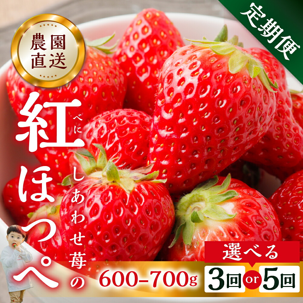 【ふるさと納税】【定期便3回 5回 選べる】自宅用 いちご 紅ほっぺ 600-700g ×3回 サイズ バラバラ 訳あり 訳アリ 農園直送 [mt196] フルーツ スイーツ 苺 イチゴ 人気 簡易梱包 家庭用 産地直送 激甘 岐阜県 本巣市 3万 5万
