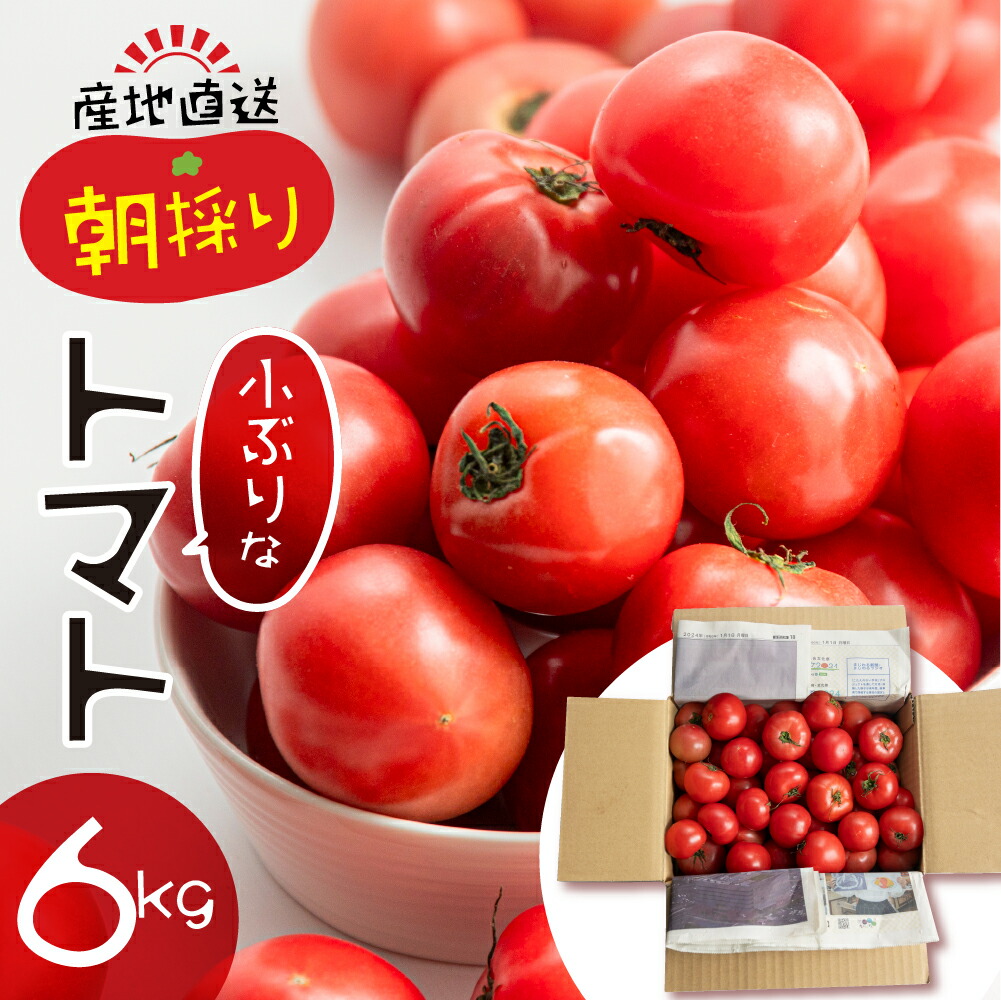 【ふるさと納税】大容量 トマト 6kg 選べる 令和7年産 大玉トマト の 小ぶり サイズ おまかせ 不揃い 訳あり 訳アリ 野菜 岐阜県産 本巣市 朝採り 産地直送 新鮮 期間 数量限定 常温 ポットファクトリー 美味しい  1万  [mt483] 【24ch】