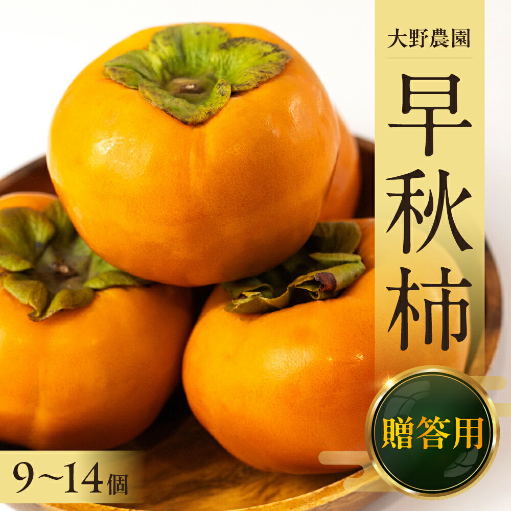 【ふるさと納税】【令和7年産】《早い甘柿》大野農園の早秋柿 (9～14個入)10月上旬～10月下旬発送予定[mt1557]｜早秋 フルーツ  カキ 果物 くだもの 岐阜県 本巣市 15000円