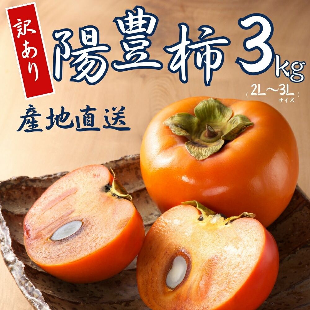 【ふるさと納税】【 訳あり 】令和7年産 陽豊柿 3kg ( 2L~ 3L ) 10-12個 カキ かき 果物 くだもの フルーツ サイズ不揃い 表面 キズ 色ムラ 家庭用規格 のため 訳アリ わけあり 自宅用 家庭用 岐阜県 本巣市  高橋柿ファーム 先行予約 11月上旬～ 発送予定  [mt1662] 8000円