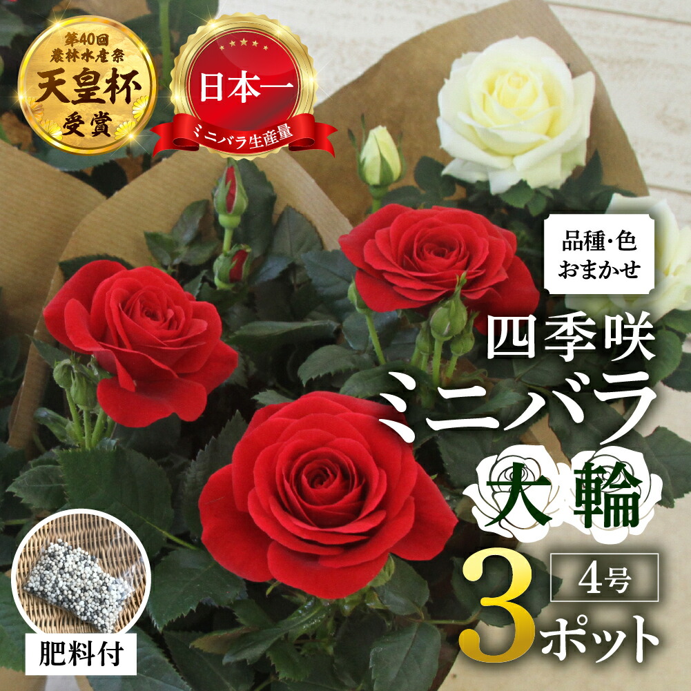 本巣市耳あたらしいなしっぺい返し品養成等助けること事業計画 -トキノ屋食料雑貨類株式会社