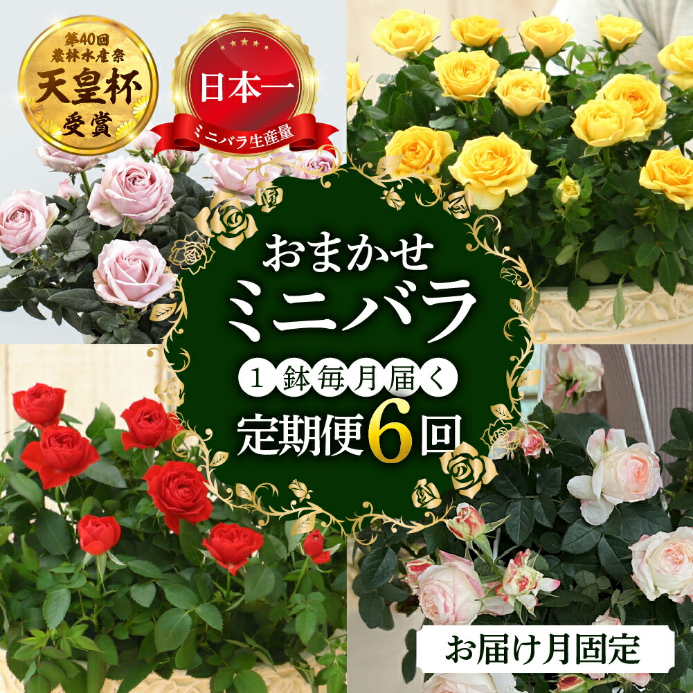 本巣市目あたらしいなしっぺい返し品発展等助けること事業計画 -トキノ屋食料雑貨類株式会社
