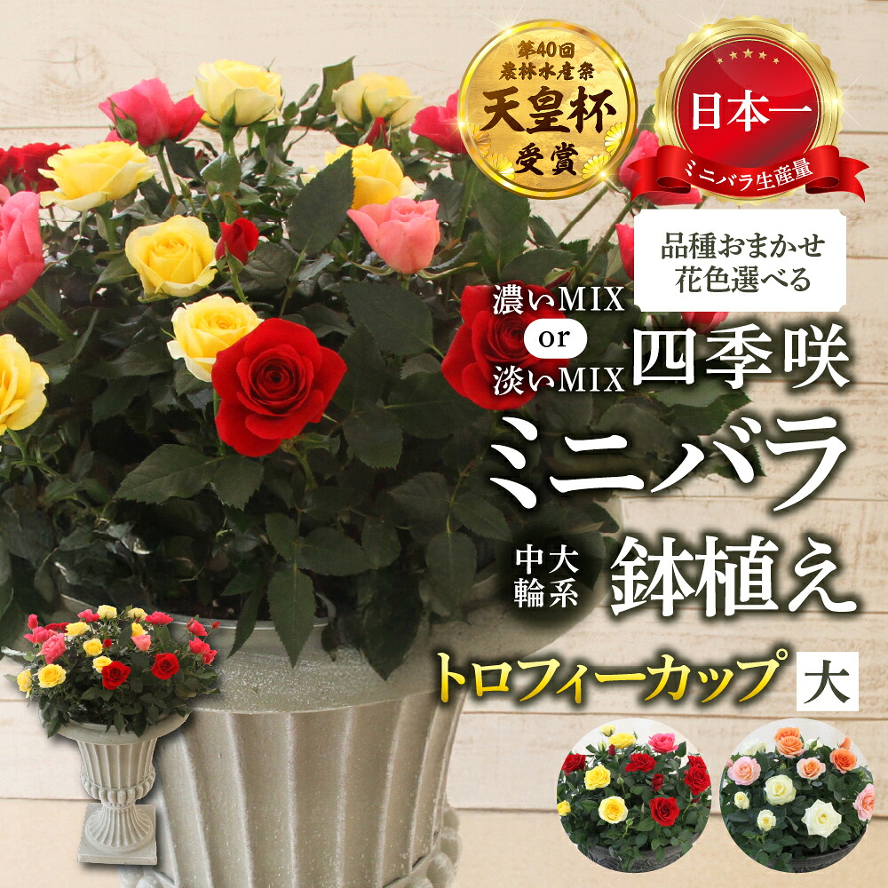 本巣市耳あたらしいなしっぺい返し品養成等助けること事業計画 -トキノ屋食料雑貨類株式会社
