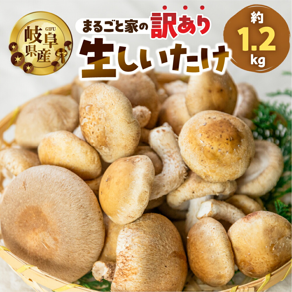 【ふるさと納税】訳あり 生しいたけ 約 1.2kg 大容量 サイズ 混合 不揃い おまかせ 簡易梱包 のため 訳あり 訳アリ BBQ 春 夏 秋 冬 野菜 栽培期間中 農薬不使用 岐阜県産 本巣市 国産 きのこ キノコ シイタケ 産地直送 新鮮 数量限定 冷蔵 まるごと家   [mt1622] 8000円