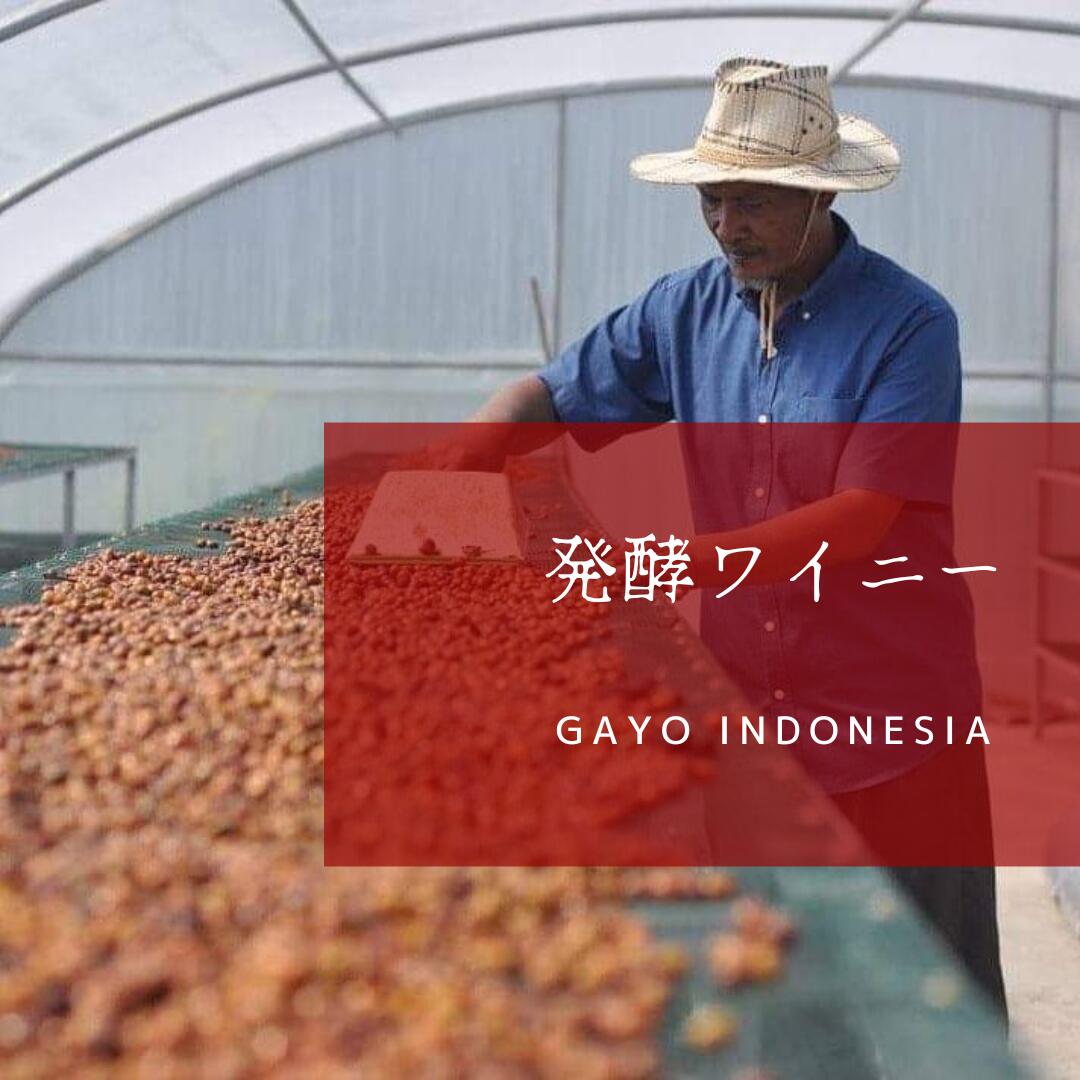 【ふるさと納税】コーヒー 粉 豆 200g 1kg 選べる 挽き方 容量 インドネシア産直輸入コーヒー 発酵ワイニー 農薬 栽培期間不使用 珈琲 Coffee 中煎 苦味 深み コク 酸味 まろやか アウトドア キャンプ 香り 挽きたて 岐阜県 本巣市 UnknownCoffee [ mt2188 ]｜岐阜県本巣市