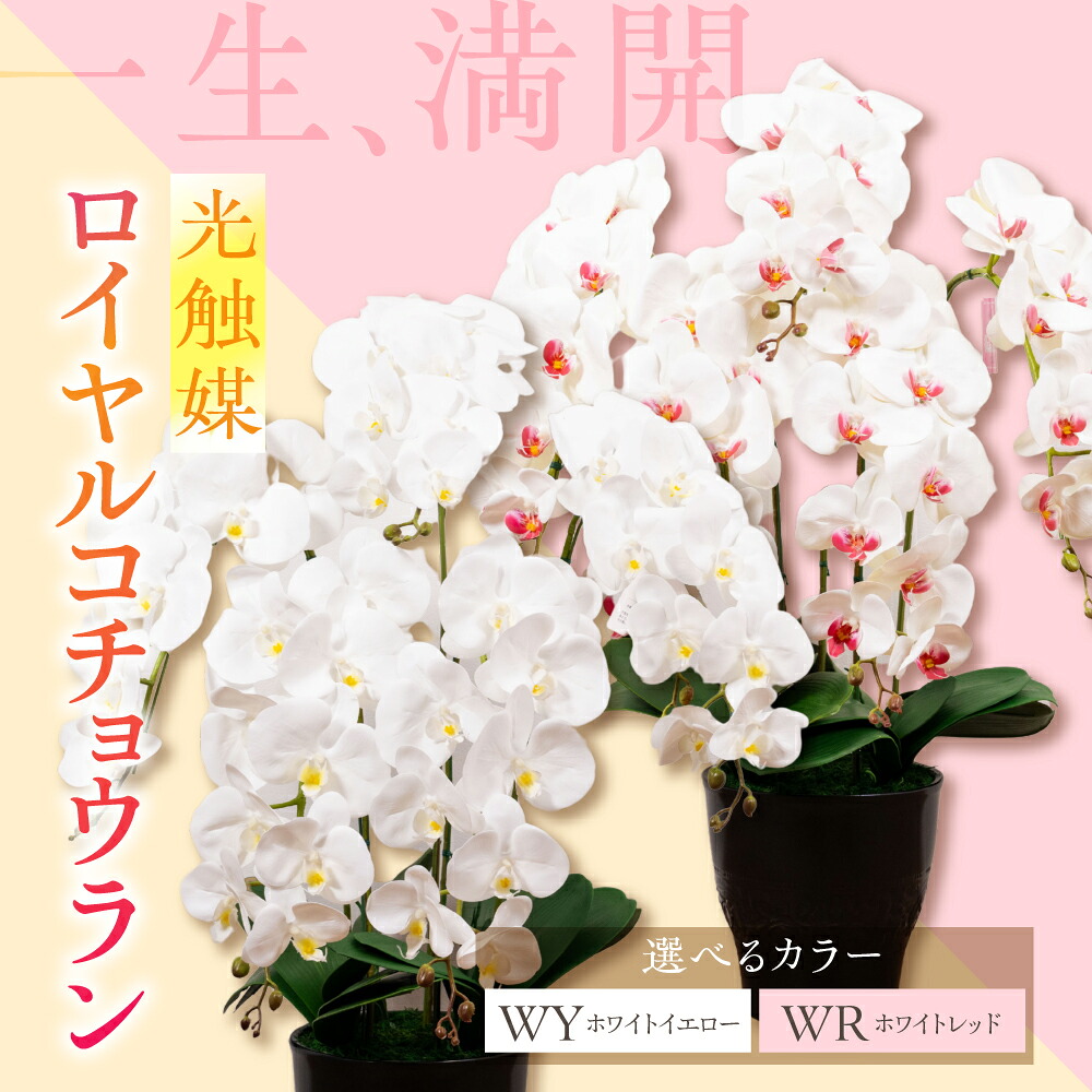 本巣市目あたらしいなしっぺい返し品発展等助けること事業計画 -トキノ屋食料雑貨類株式会社