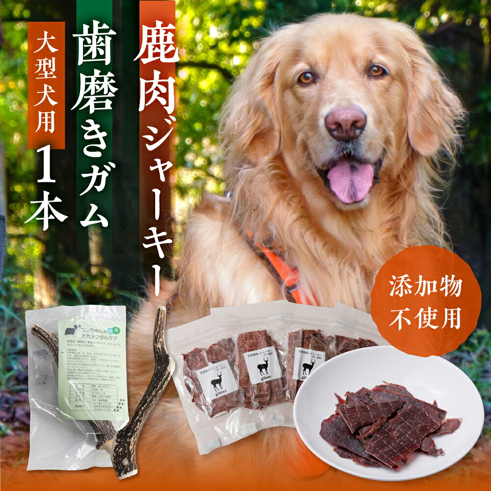 本巣市耳あたらしいなしっぺい返し品開拓等助けること事業計画 -トキノ屋食料雑貨類株式会社