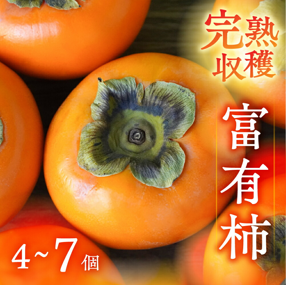 【ふるさと納税】[先行予約] 令和7年産 完熟収穫 富有柿 4~7個 入り | 訳ありサイズ不揃い 規格外 おまかせ 家庭用 ちょうど 柿 かき 富有柿 果物 訳アリ フルーツ 丸金青果  [mt1652]｜岐阜県 本巣市 5000円 5千円 常温  2025年