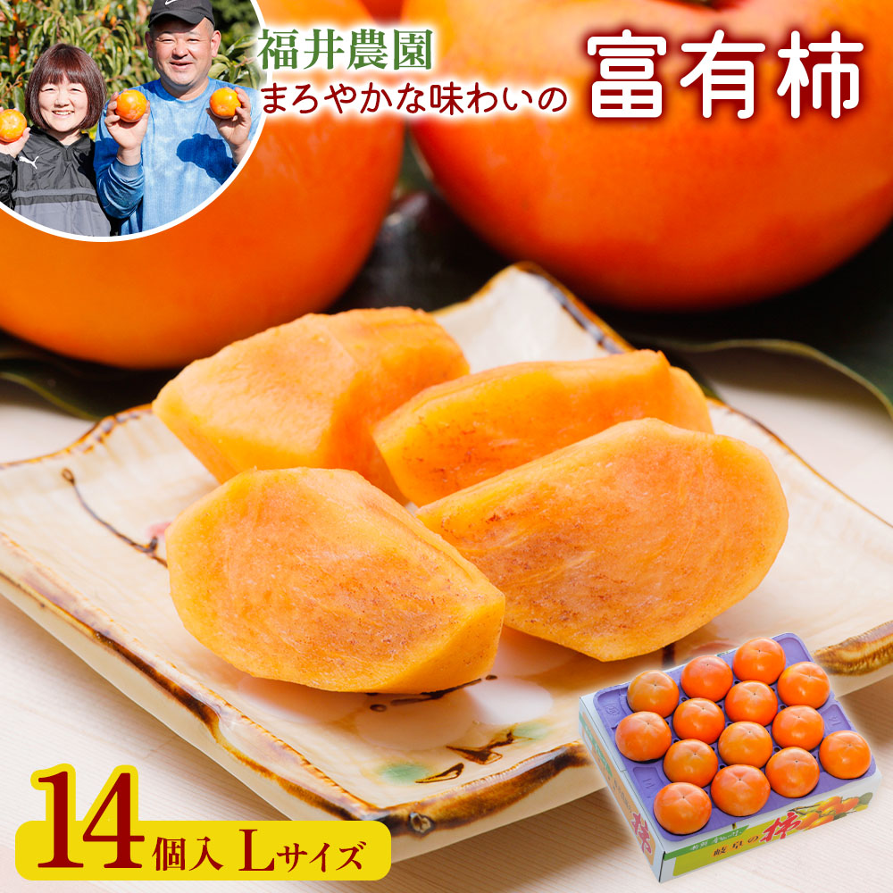 【ふるさと納税】【先行予約】《柿の王様》令和7年産 富有柿 Lサイズ (14個入)  [0151]｜令和7年産 福井農園 柿 かき 富有柿 フルーツ  カキ 果物 化粧箱 入り くだもの 産地直送 岐阜県 本巣市 特産 10000円 一万円