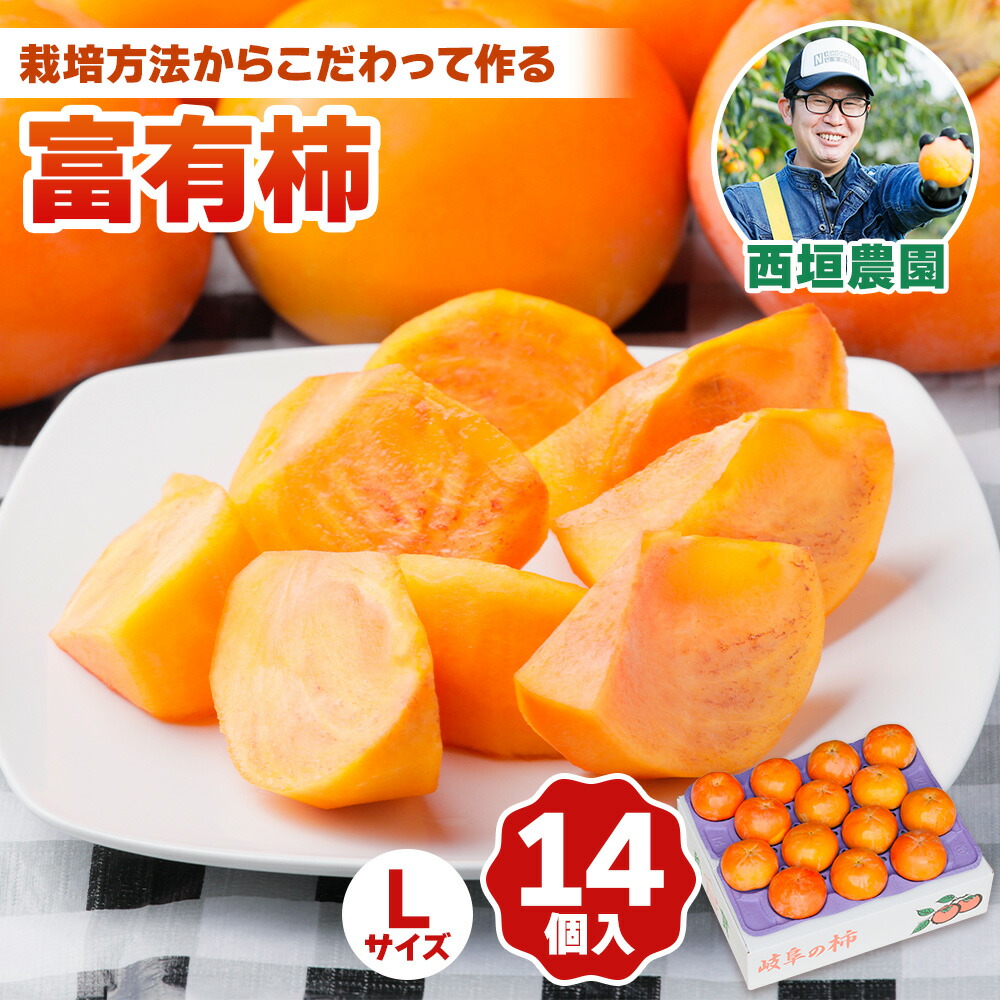 【ふるさと納税】[先行予約] 令和8年産 《柿の王様》西垣農園の富有柿 Lサイズ (14個入)11月中旬から12月上旬にかけて発送予定 [mt019] [0592]｜かき 富有柿 フルーツ カキ 果物 くだもの 産地直送 岐阜県 本巣市 お取り寄せ 13000円｜岐阜県本巣市