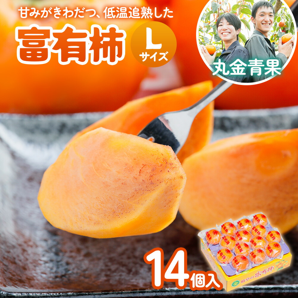 【ふるさと納税】[先行予約] 令和7年産 丸金青果 富有柿 Lサイズ(14個入) 低温追熟【甘みがきわだつ 低温追熟した富有柿をお届け】12月下旬より順次発送 [mt1110] ｜かき 富有柿 フルーツ カキ 果物 くだもの 産地直送  本巣市 14000円