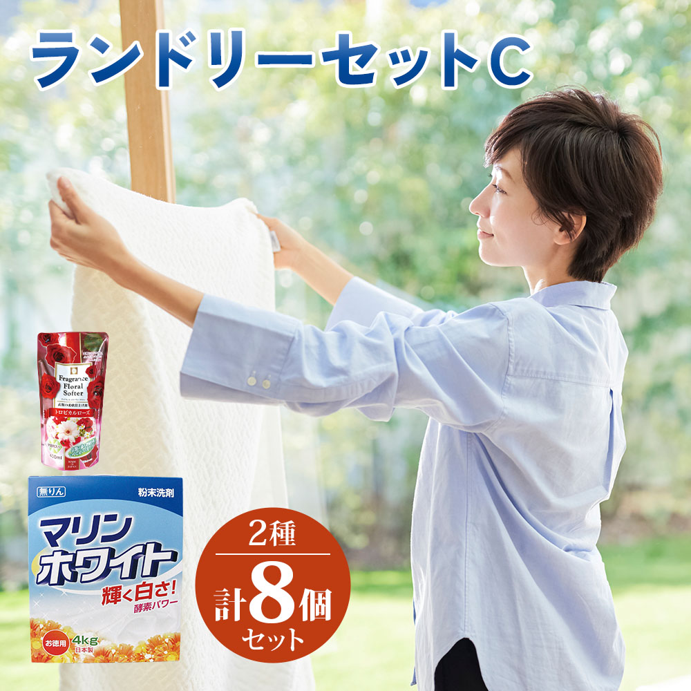 洗濯屋さんも納得洗濯プロ Rose 洗濯洗剤800ml３個セットおしゃれ着洗い 洗濯屋さんも納得洗濯プロ Rose 洗濯洗剤800ml3個セット