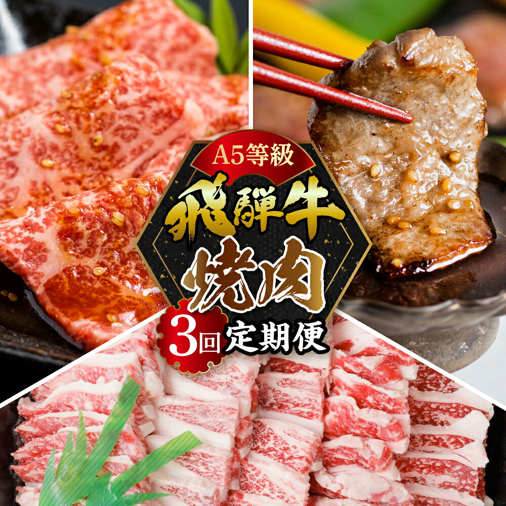 【ふるさと納税】【定期便】A5 飛騨牛 焼肉 3回 定期便 計 1.05kg 3ヶ月 食べ比べ A5等級 5等級 a5 牛肉 肉 和牛 国産牛 黒毛和牛 焼肉 やきにく ヤキニク 赤身 霜降り お楽しみ トキノ屋食品 本巣市 [mt352] 40000円 四万円｜岐阜県本巣市