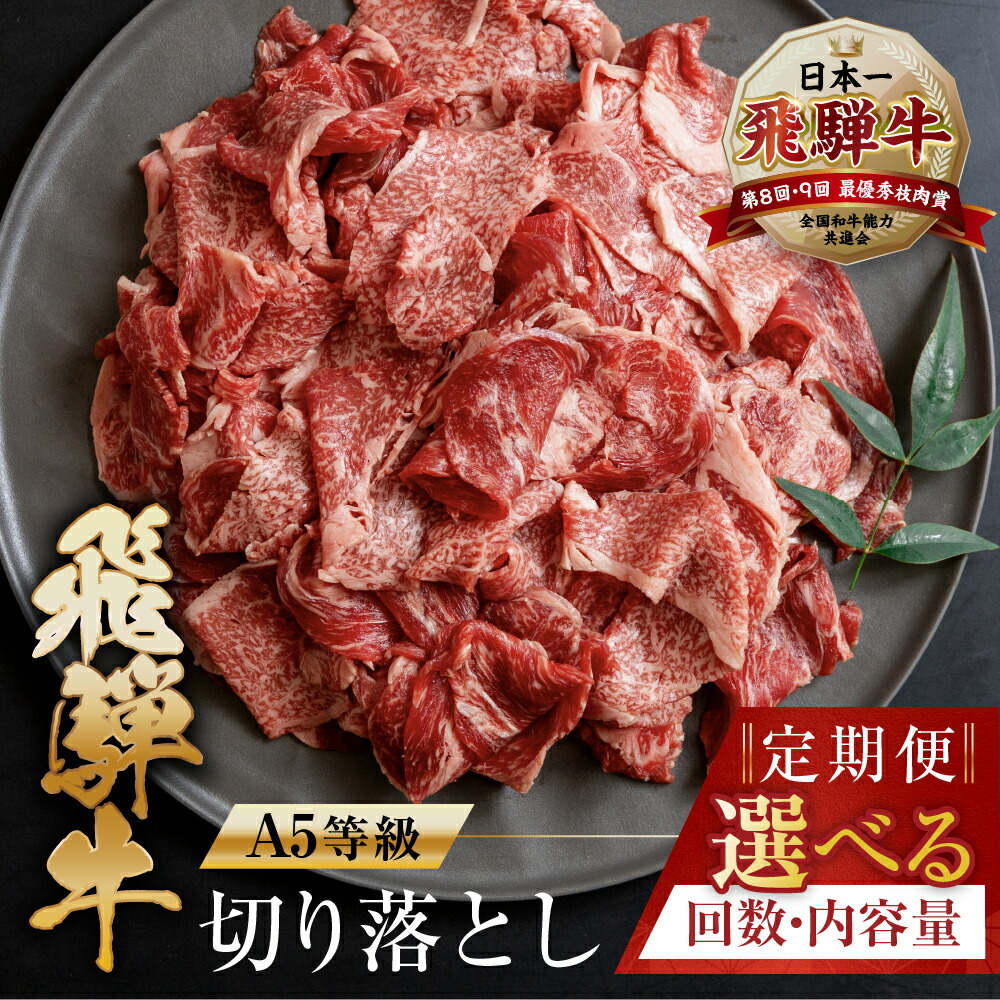 【ふるさと納税】 【訳あり】 [A5等級]  飛騨牛 切り落とし 定期便 | 400g 500g 1kg 3回 5回 6回 12回 半年 1年 年間 楽天限定 牛肉 肉 和牛 国産牛 黒毛和牛 牛肉 肉 焼肉 すき焼き a5 不揃い 小分け 冷凍 本巣市 岐阜 トキノ屋 食品 [mt403] 30000円 三万円