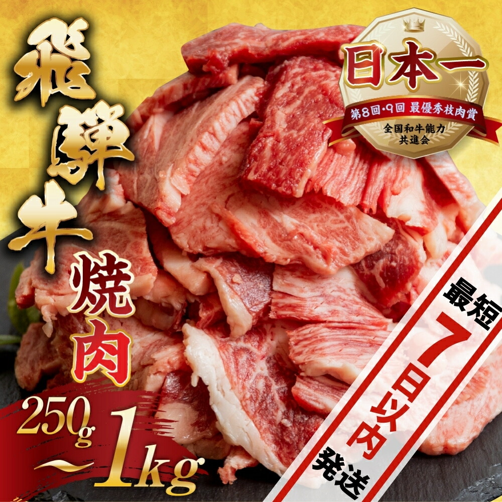 【ふるさと納税】 訳あり 飛騨牛 焼肉 切り落とし 250g | 400g | 500g | 600g | 500g×2 計1kg | 牛肉 肉 切落し わけあり 不揃い 小分け 冷凍 本巣市 トキノ屋 BBQ バーベキュー 人気 焼き肉 [mt656] 25000円 15000円 13000円 10000円 7000円
