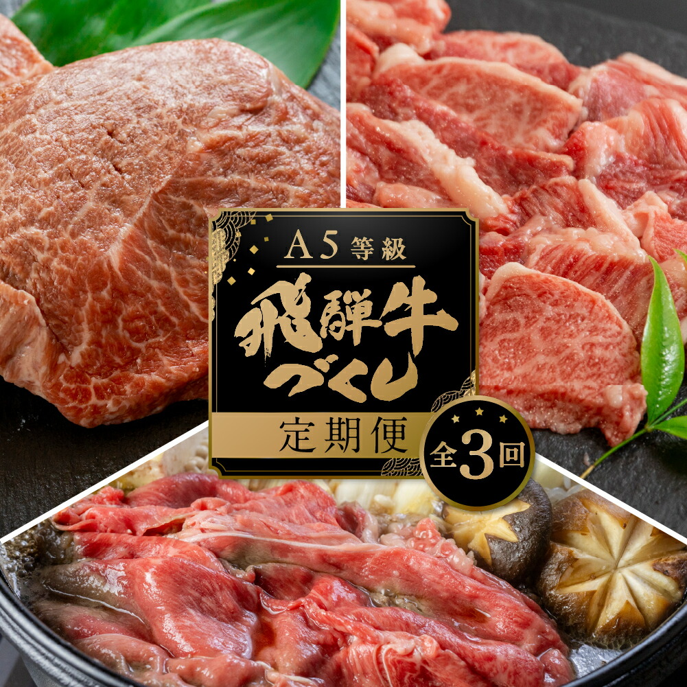 【ふるさと納税】【定期便・発送開始月が選べる】A5 飛騨牛 3回 定期便 計 1.5kg 3ヶ月 食べ比べ A5等級 5等級 a5 牛肉 肉 和牛 国産牛 黒毛和牛 焼肉 すき焼き しゃぶしゃぶ ステーキ 赤身 霜降り お楽しみ トキノ屋食品  本巣市 [mt001] 50000円