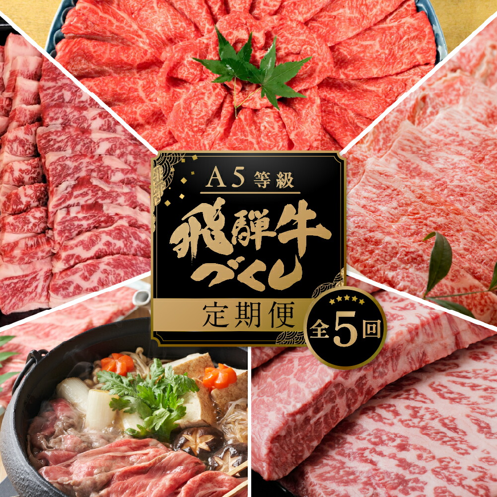 【ふるさと納税】【定期便・発送時期が選べる】A5 飛騨牛 5回 定期便 計 2.9kg 5ヶ月 食べ比べ A5等級 5等級 a5 牛肉 肉 和牛 国産牛 黒毛和牛 焼肉 すき焼き しゃぶしゃぶ ステーキ 赤身 霜降り お楽しみ トキノ屋食品 本巣市  [mt668] 100000円 10万円