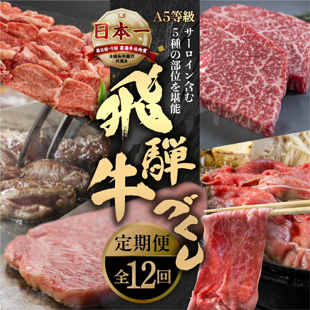【ふるさと納税】【定期便】A5 飛騨牛 12回 定期便 計 6.5kg 12ヶ月 食べ比べ 1年 年間 牛肉 肉 和牛 国産牛 黒毛和牛 焼肉 すき焼き しゃぶしゃぶ ステーキ 赤身 霜降り サーロイン お楽しみ トキノ屋食品  本巣市 [mt669] 250000円