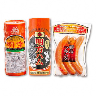 【ふるさと納税】郡上特選ハムA