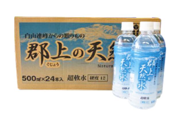 【ふるさと納税】清流長良川源流「郡上の天然水」500ml(24本入)1箱 / 水 ソフトドリンク 水 炭酸水 15000円
