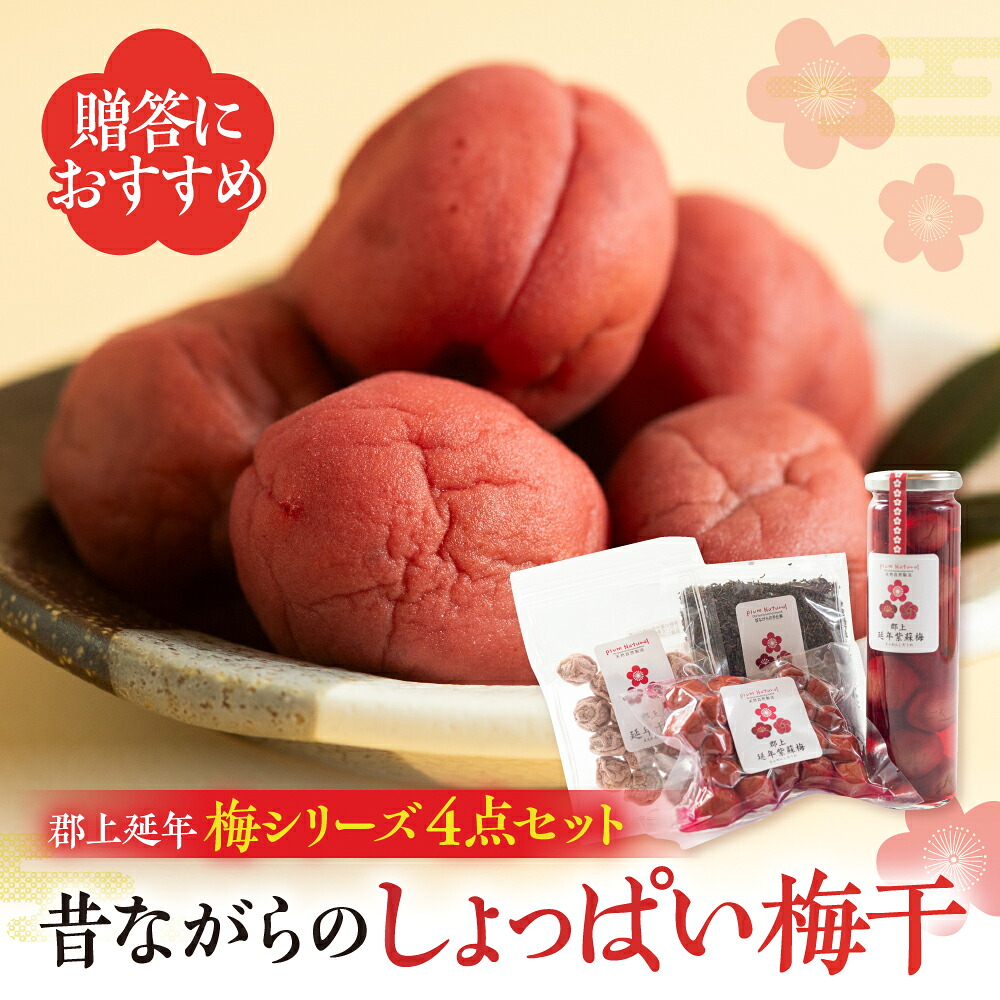 【ふるさと納税】郡上延年梅シリーズ４点セット 昔ながらの しょっぱい梅干し 暑さ対策 塩分補給 食品 漬物 梅干し しそ梅 紫蘇梅 プラムナチュール10000円 A-21