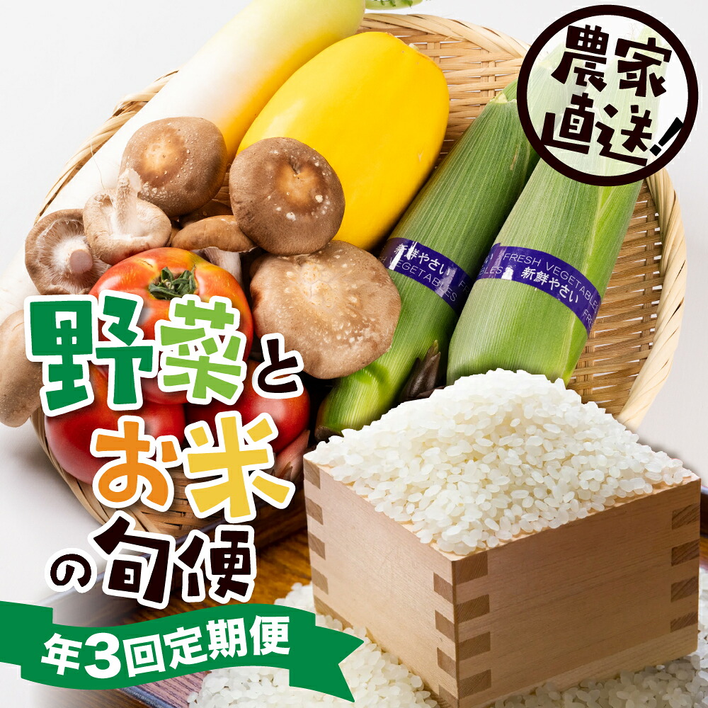 【ふるさと納税】[定期便]郡上の旬野菜とお米（年３回） 季節の野菜 / 食品 野菜 セット 詰め合わせ 25000円