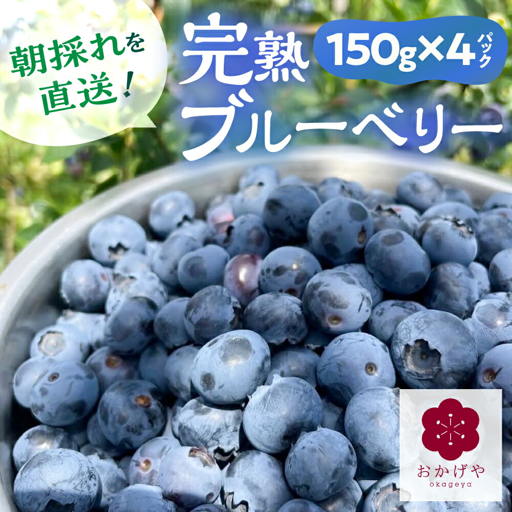 【ふるさと納税】先行予約【7月～8月末発送】完熟フレッシュブルーベリー 150g×4 ブルーベリー 生 冷蔵 スムージー ヨーグルト フルーツ 果物 10000円 1万円 [G0255]