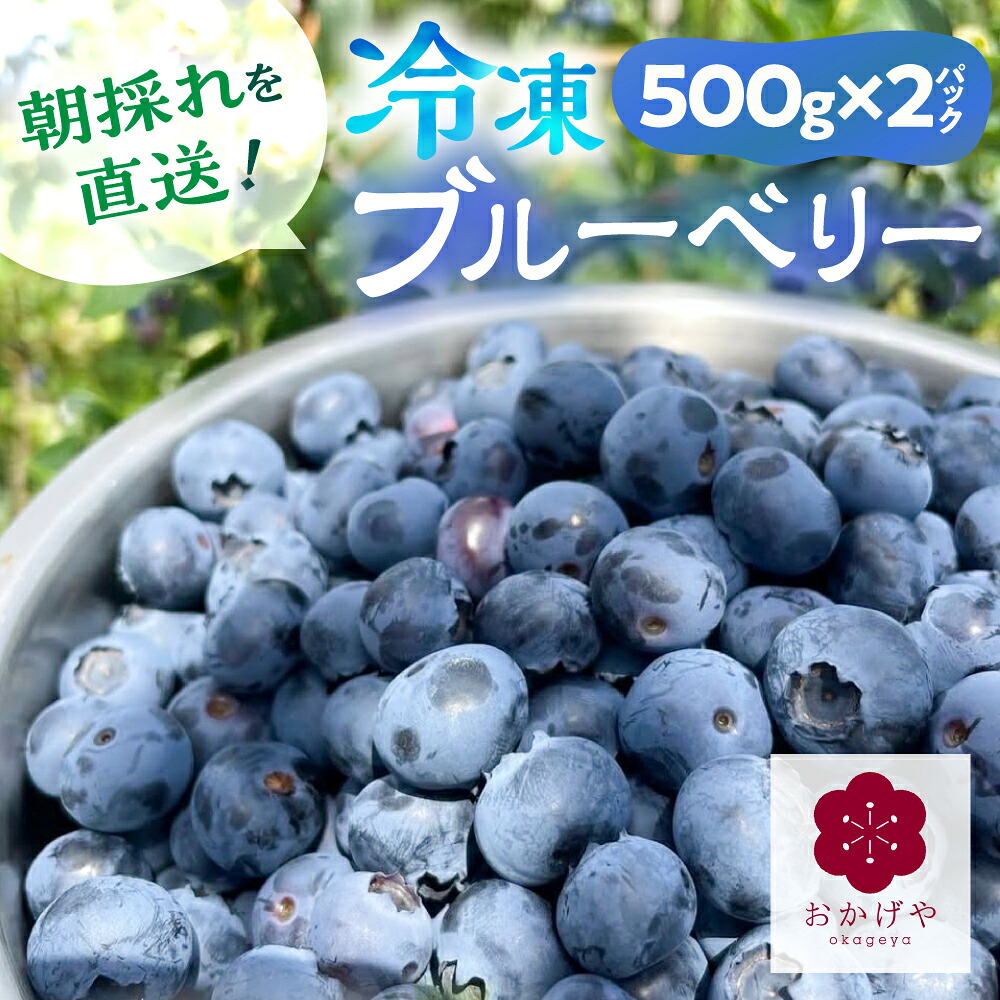 【ふるさと納税】先行予約 2026年【7月～3月末発送】冷凍ブルーベリー 500g×2 1kg ブルーベリー 冷凍 スムージー ヨーグルト フルーツ 果物 10000円 1万円 [G0256]