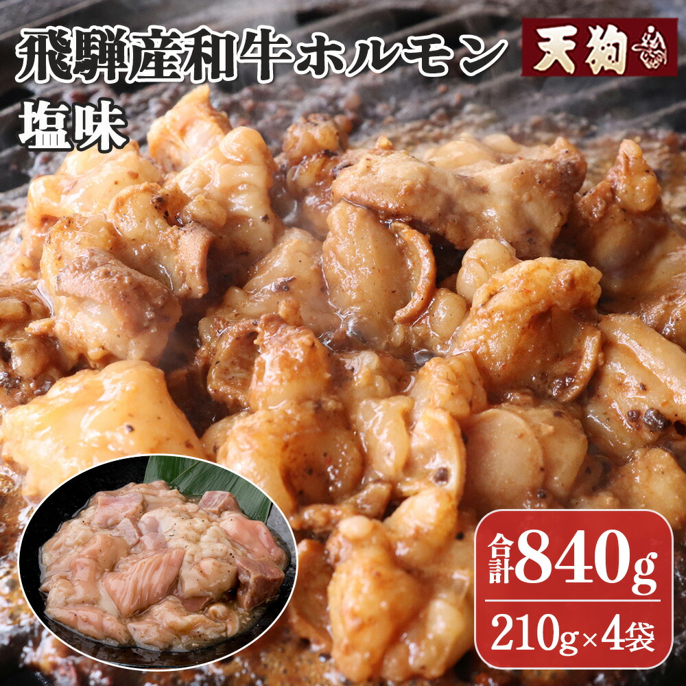 【ふるさと納税】飛騨産和牛ホルモン 塩味 210g×4袋【冷凍】牛肉 牛ホルモン しお味 焼くだけ 簡単 ギフト BBQ アウトドア 味付き 11000円 岐阜県 下呂市|岐阜県下呂市