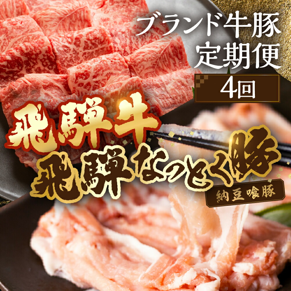 【ふるさと納税】【定期便４回】 飛騨牛＆納豆喰豚 お楽しみ定期便（しゃぶしゃぶ用、焼肉用）天狗 なっとく豚 飛騨牛 牛 牛肉 焼き肉 しゃぶしゃぶ 食べ比べ 定期便 4カ月 定期下呂温泉 おすすめ 豚肉 なっとくとん ブランド豚 国産 ギフト 40000円 4万円