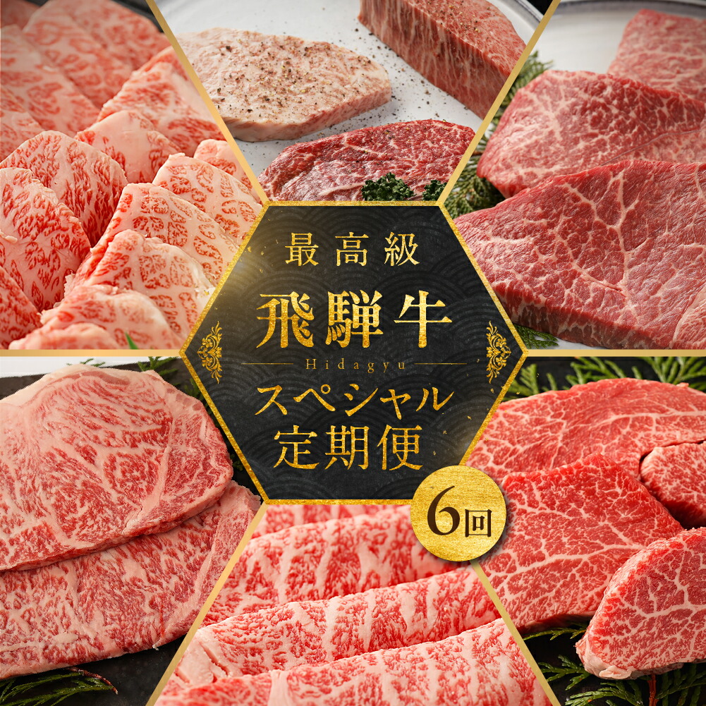 【ふるさと納税】【定期便 6回】飛騨牛 食べ尽くし定期便 6カ月（飛騨牛すき焼き 焼肉 ステーキ ）ヒレ モモ 赤身 霜降り カルビ 希少部位 6回 高級 毎月 食べ比べ ギフト 牛 牛肉 岐阜県 萩原畜産 下呂温泉 飛騨萩原畜産直売店【冷凍】245000円